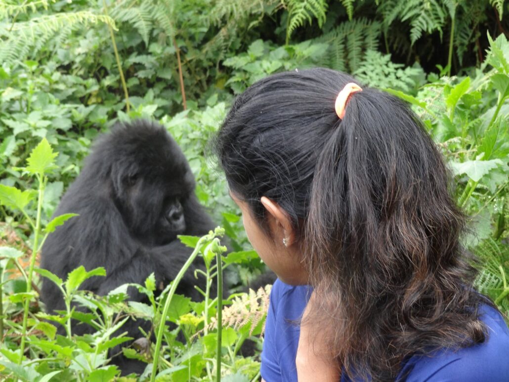 Beyond the Wildebeest Migration