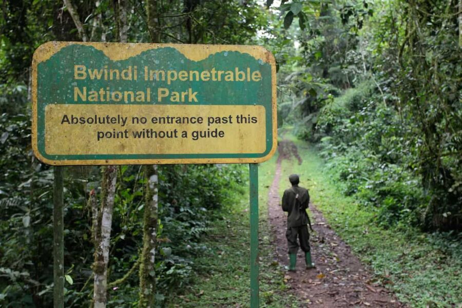 Bwindi Impenetrable Forest National Park