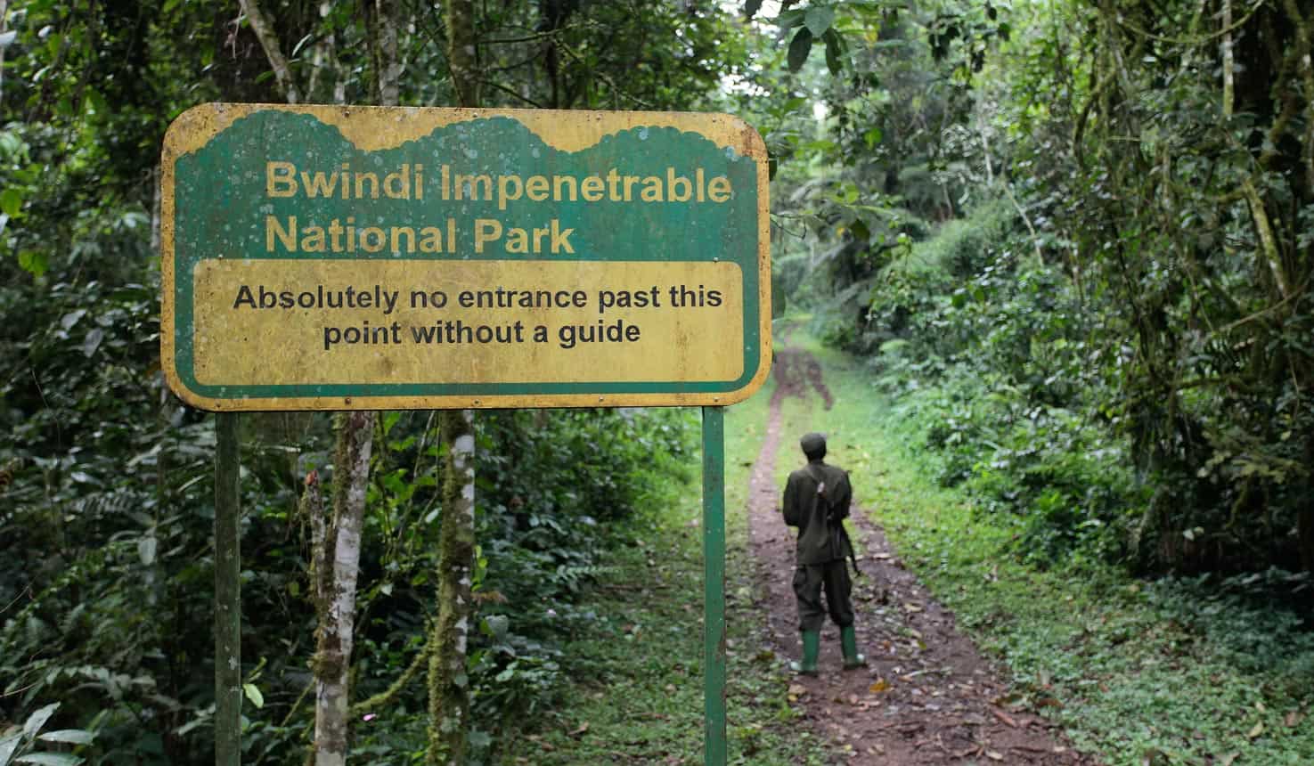 Bwindi Impenetrable Forest National Park
