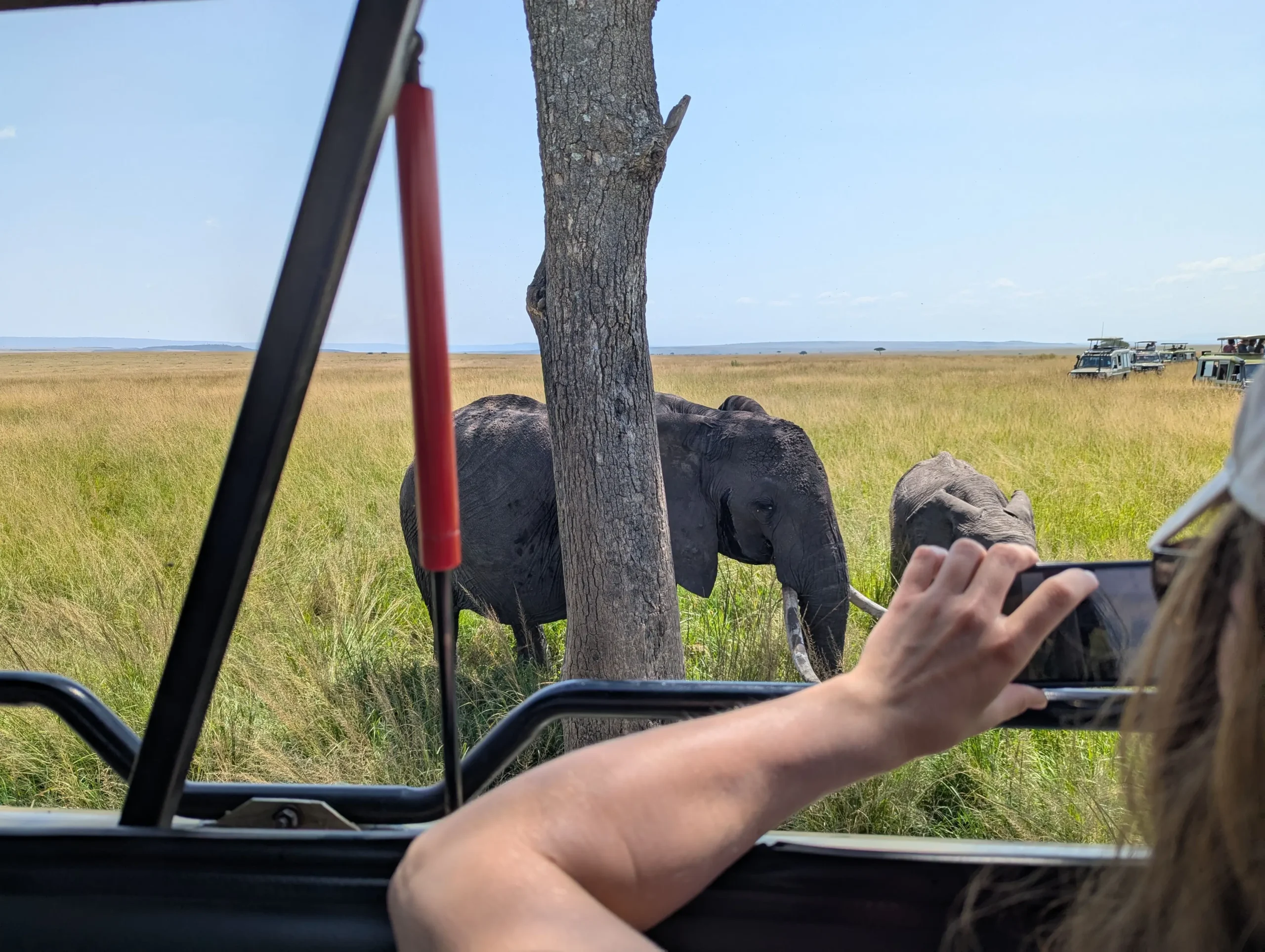 Do I Need a Visa to Visit Tanzania?