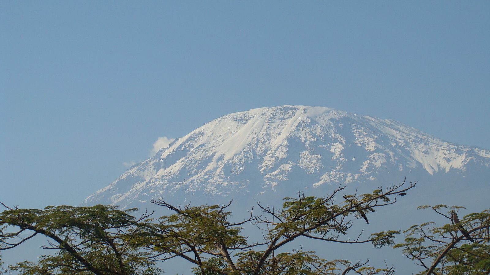 Eco Tours to Kilimanjaro and Ngorongoro