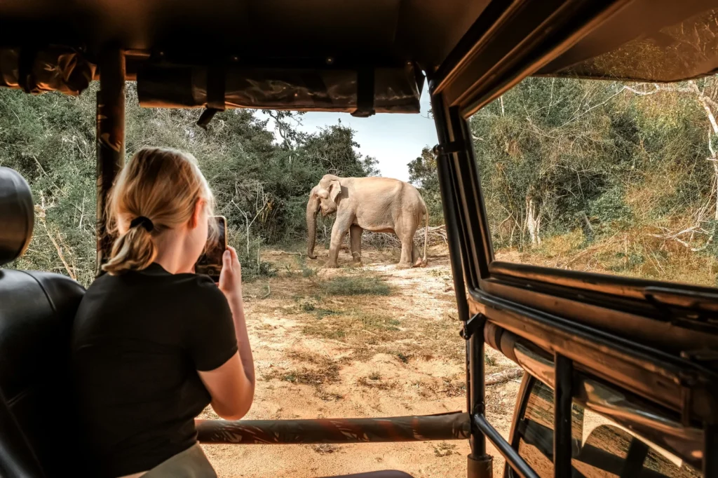 Eco Tours to Kilimanjaro and Ngorongoro