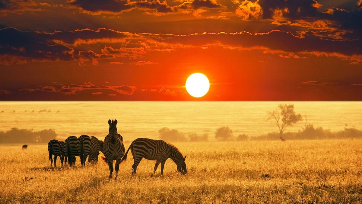 Eco Tours to Kilimanjaro and Ngorongoro