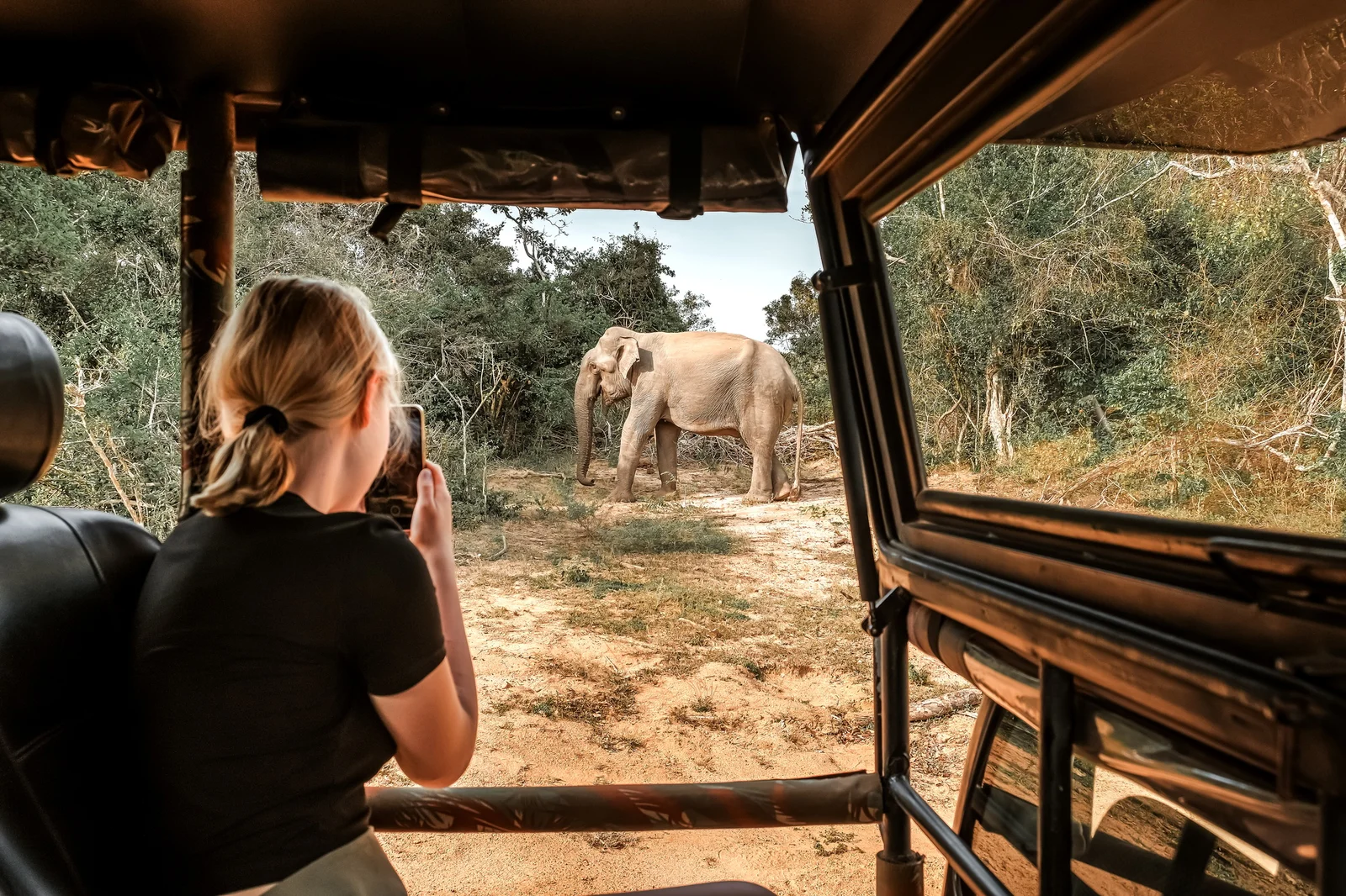 Eco Tours to Kilimanjaro and Ngorongoro