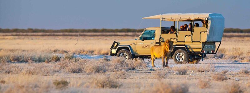 Etosha National Park 23 November