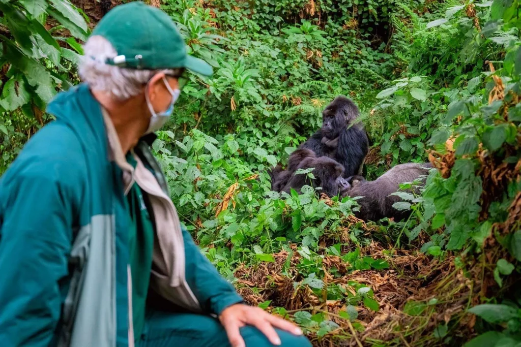 Exclusive Private Luxury Gorilla Trekking Rwanda