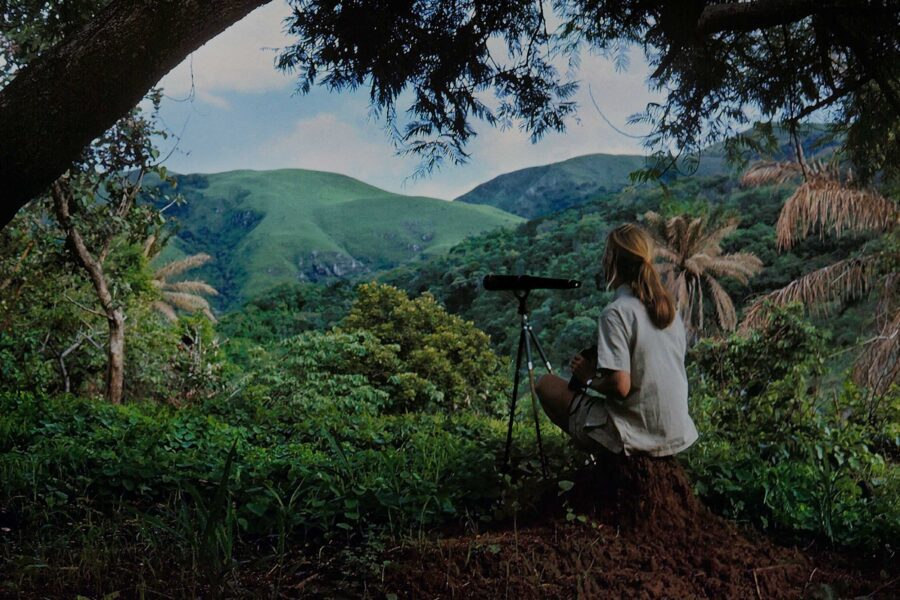 Gombe Stream National Park 3 Gombe Stream National Park