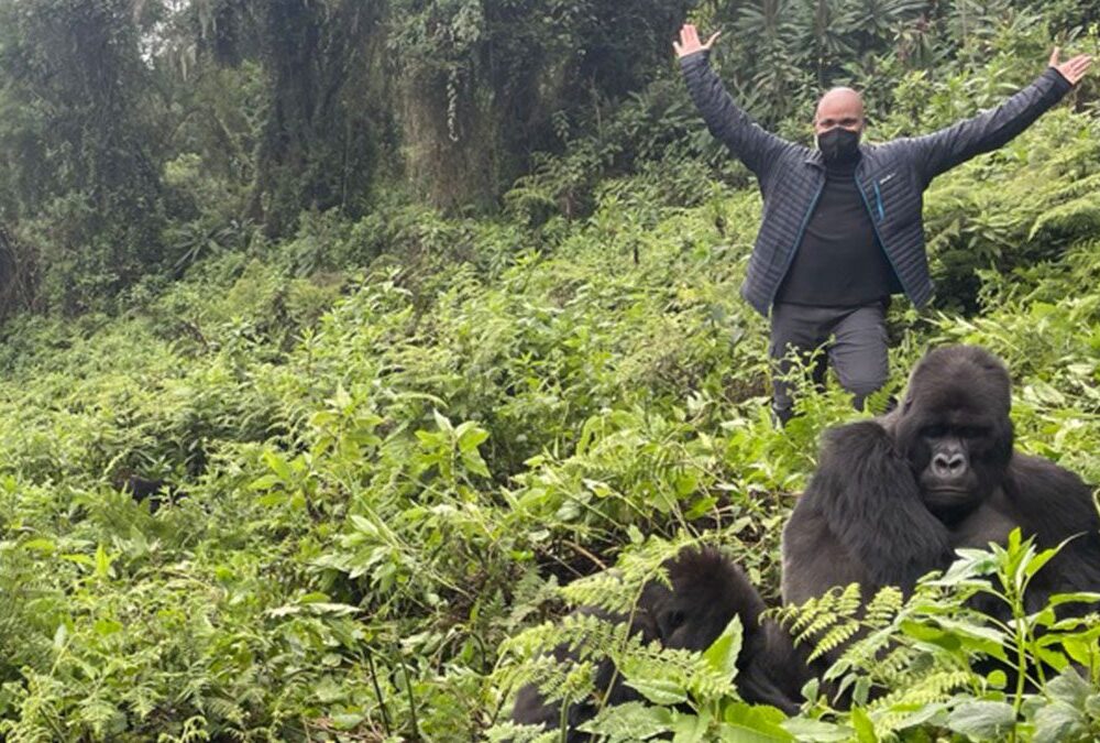 Gorilla trekking and wildebeest calving itinerary 1 Gorilla trekking and wildebeest calving itinerary 1