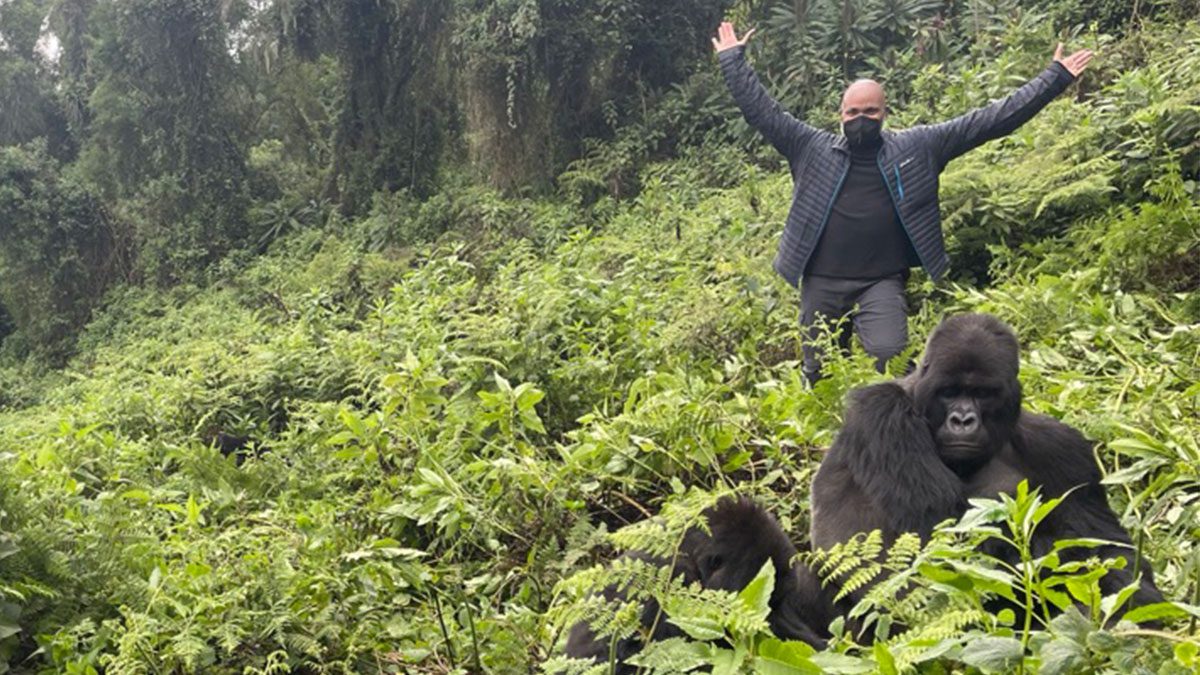 Gorilla trekking and wildebeest calving itinerary