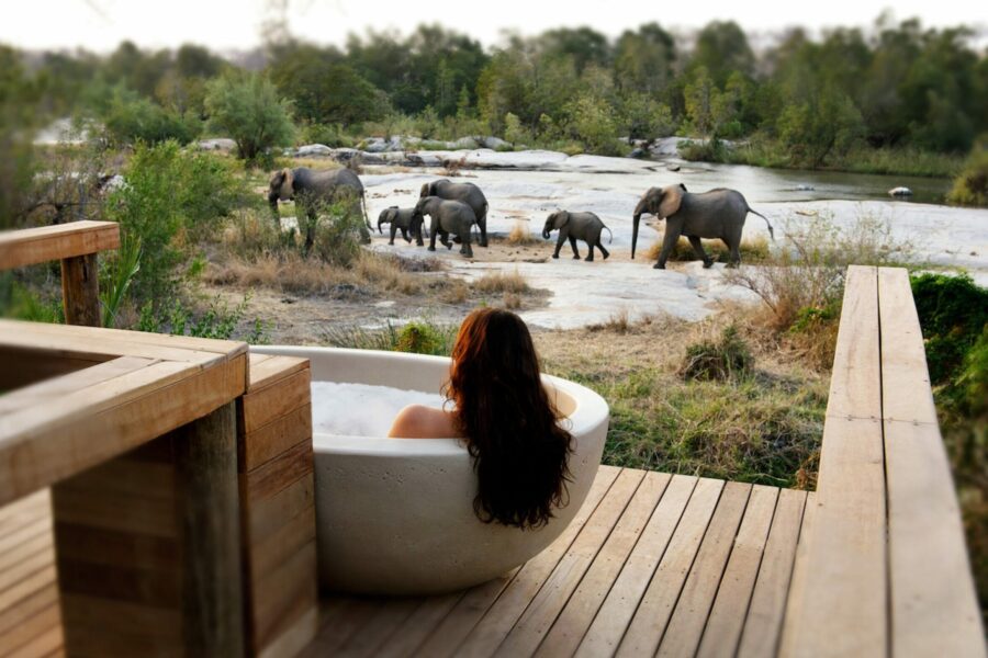 Honeymoon Safaris