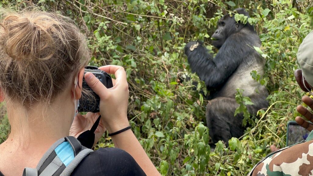 How to Plan a Safe Gorilla Trek in Africa