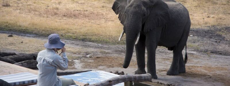 Hwange National Park 11 November