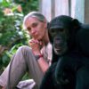 In Honor of Dr. Jane Goodall