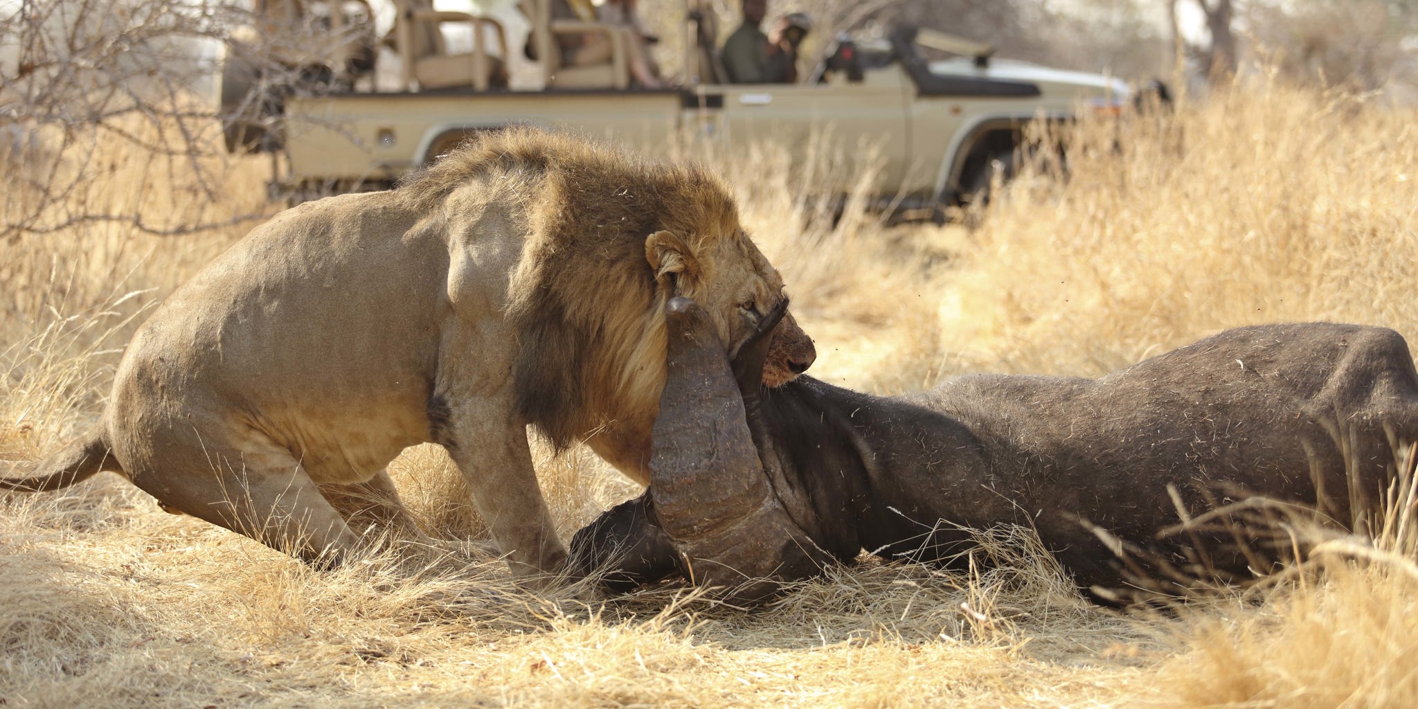 Is It Safe to Go to Tanzania Right Now?