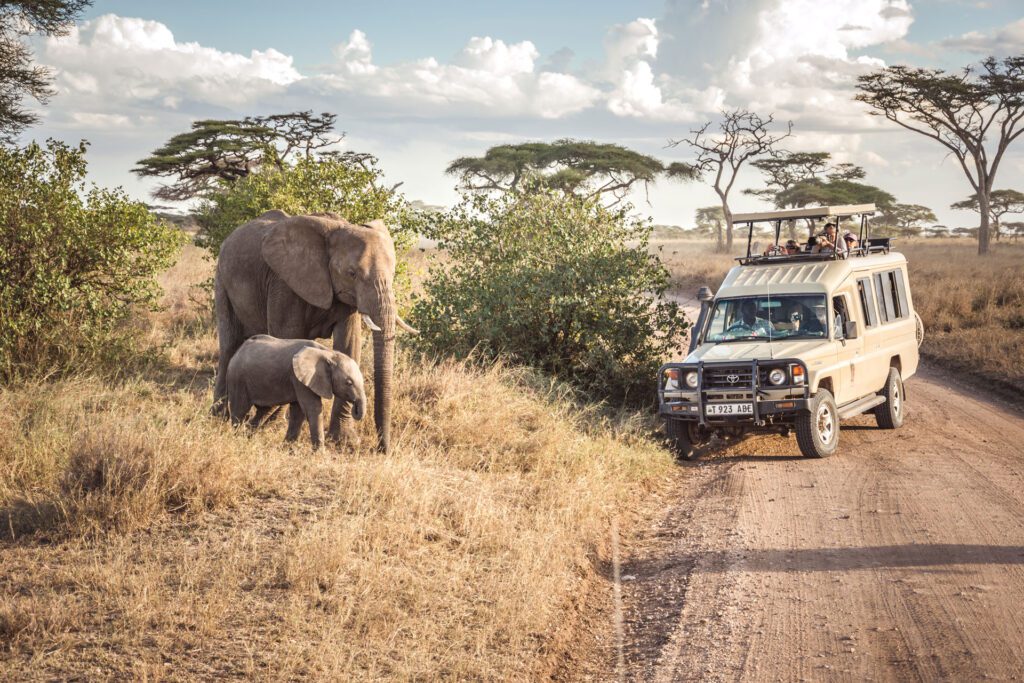 Is Serengeti Safari Safe