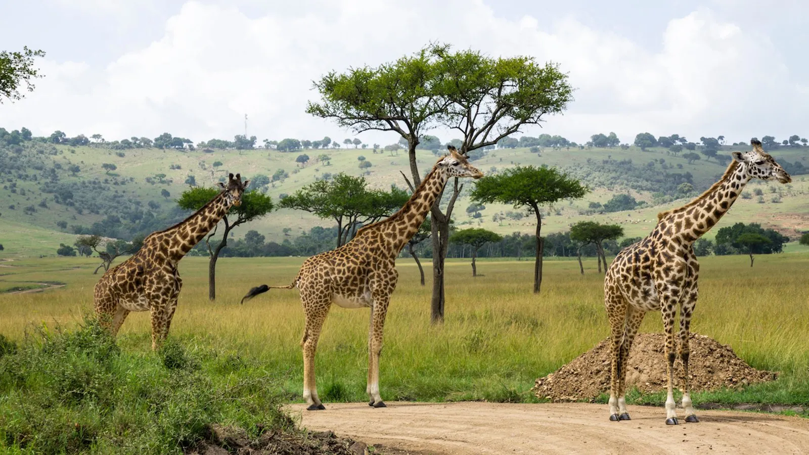 Lake Naivasha National Park