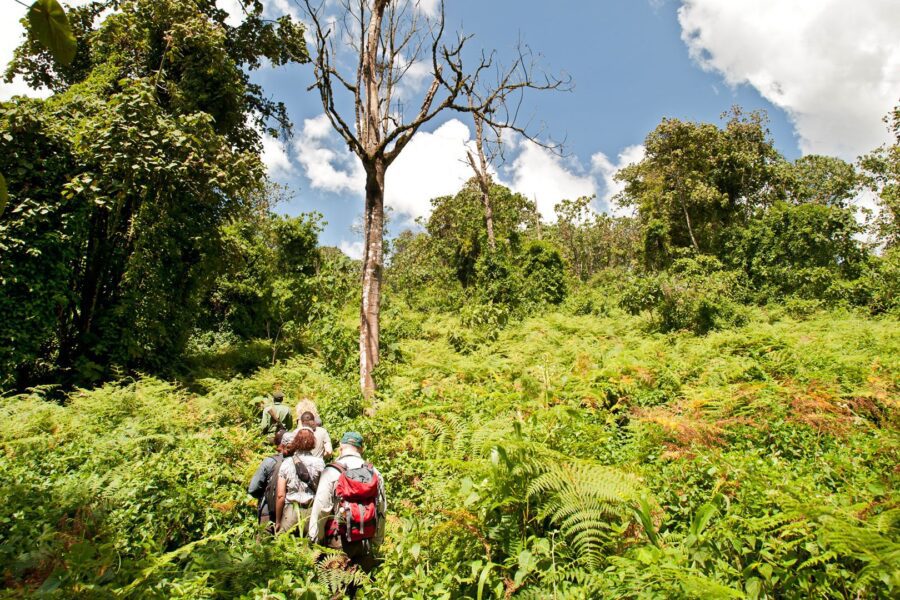 Mahale Mountains National Park Mahale Mountains National Park