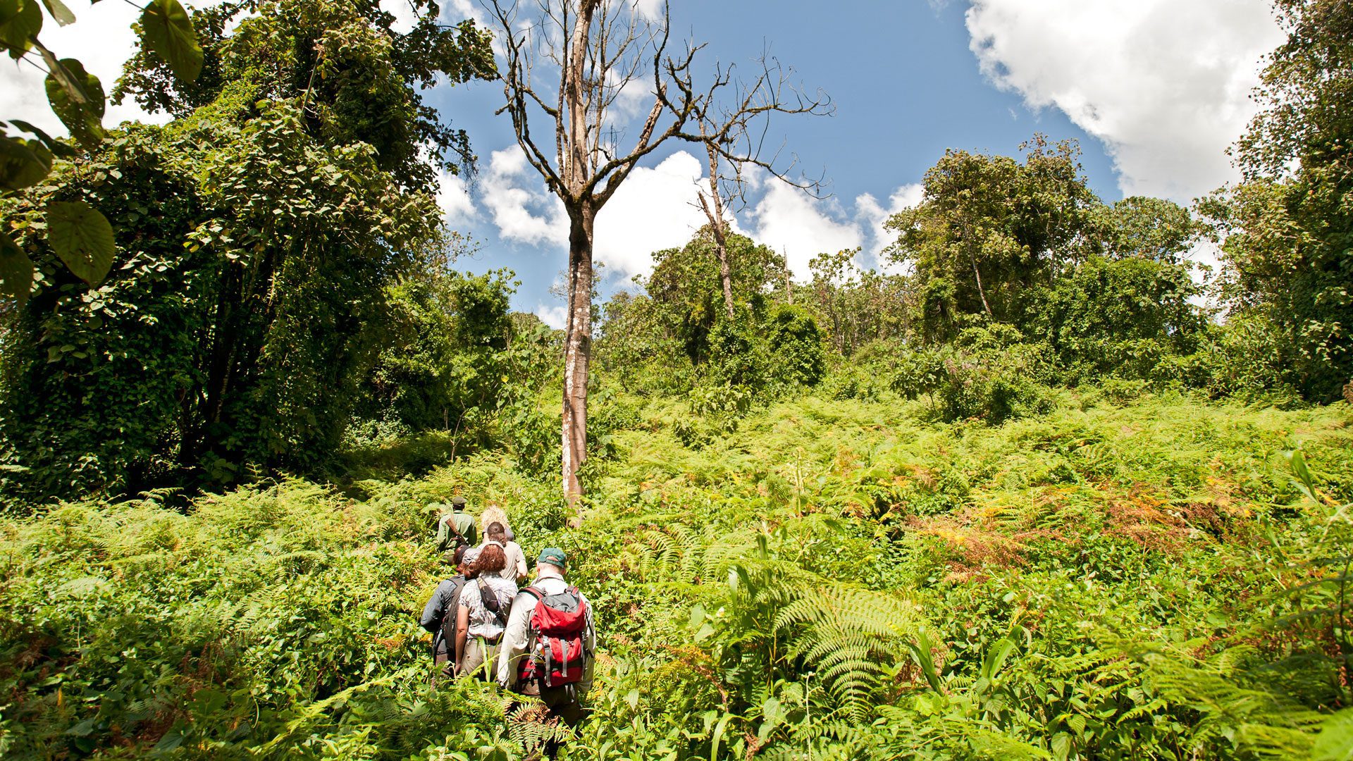 Mahale Mountains National Park