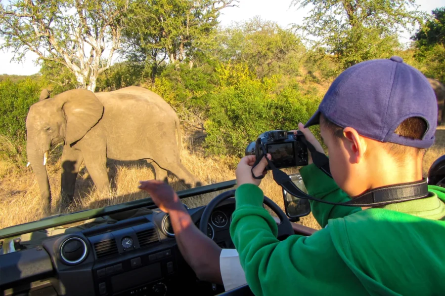 Malaria Free Safaris