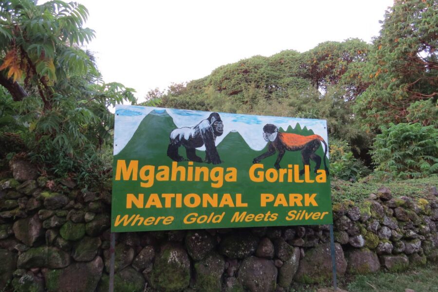 Mgahinga Gorilla National Park
