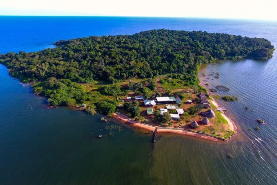 Ngamba Island