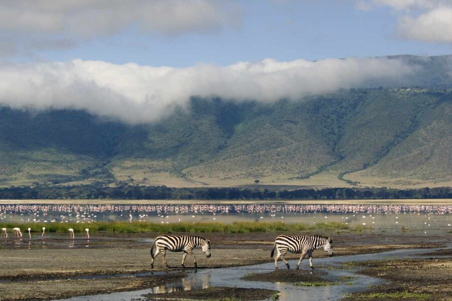 Ngorongoro Conservation Area 1 Ngorongoro Conservation Area