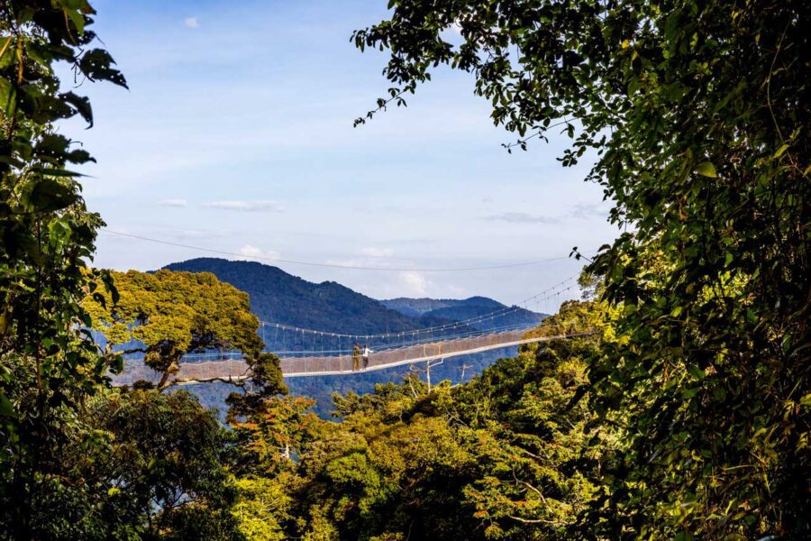 Nyungwe Forest National Park