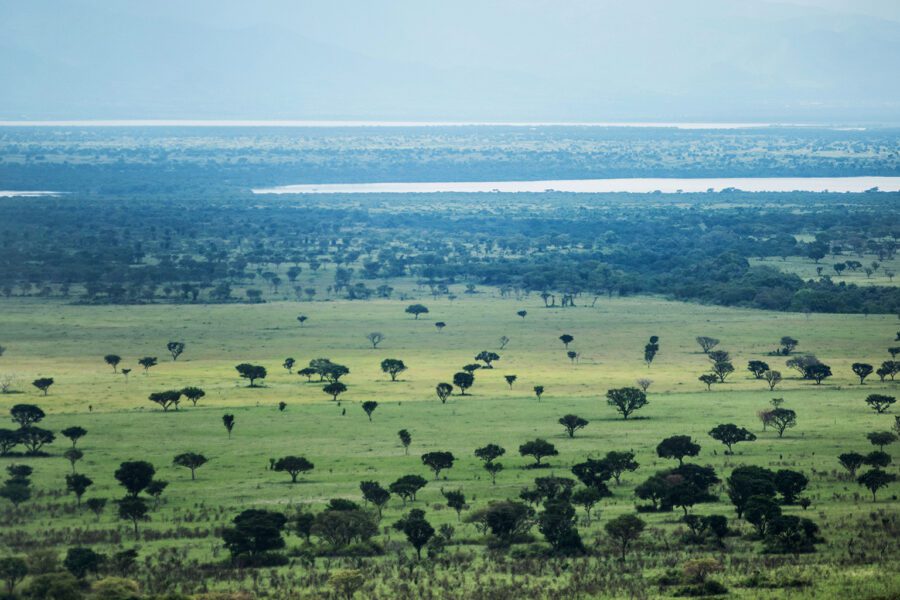 Queen Elizabeth National Park