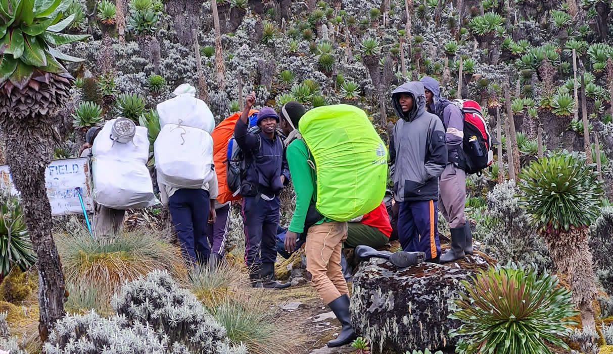 Rwenzori Climbing