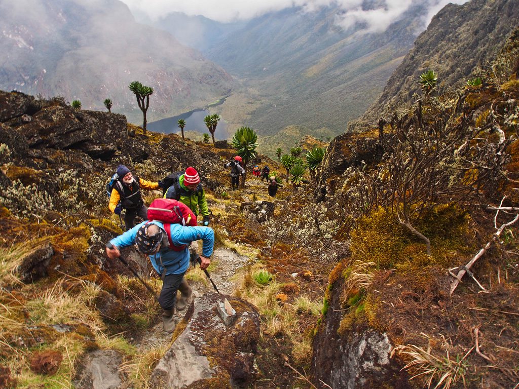 Rwenzori Mountains Trekking Cost