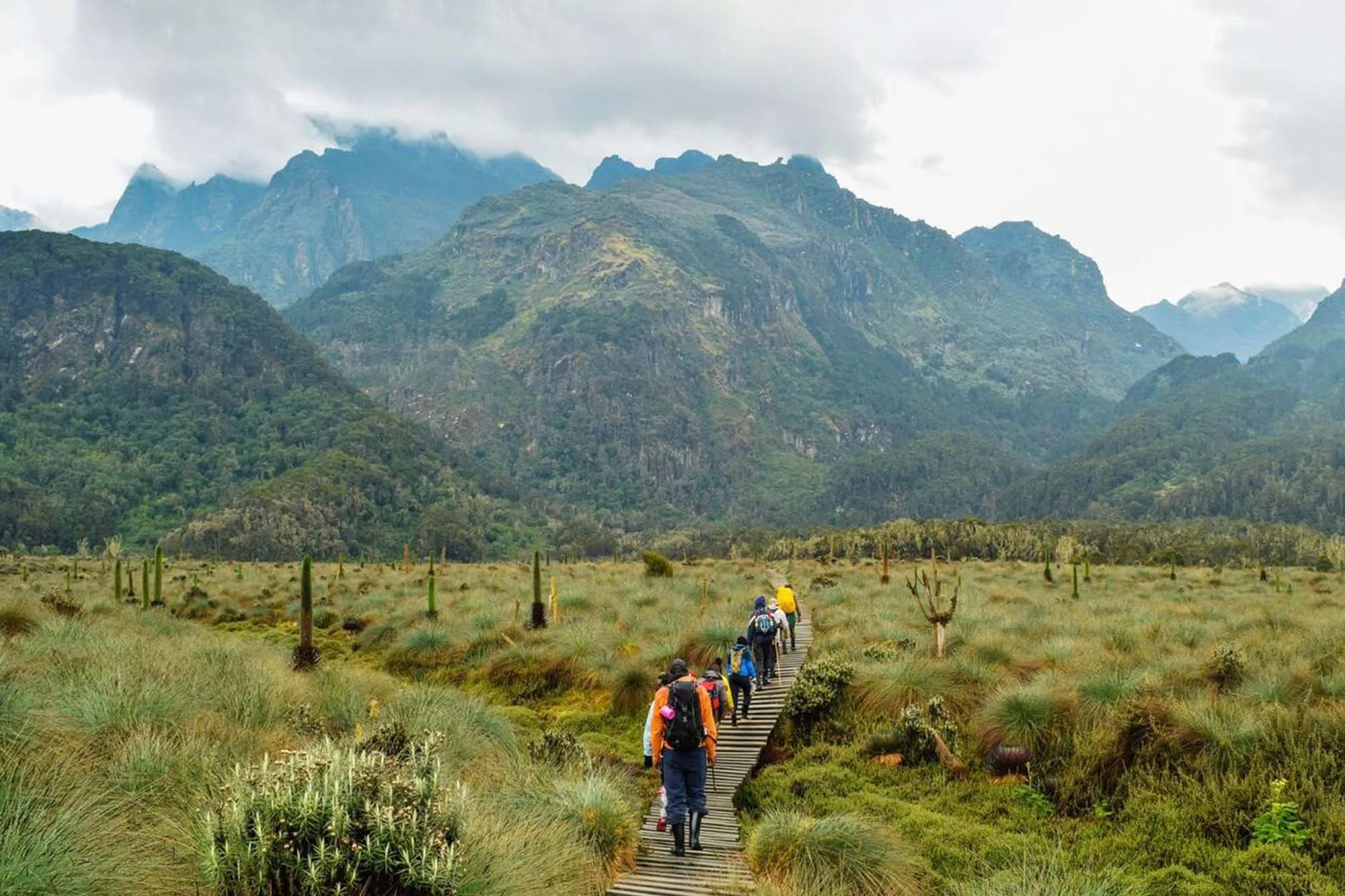 Rwenzori Mountains Trekking Cost