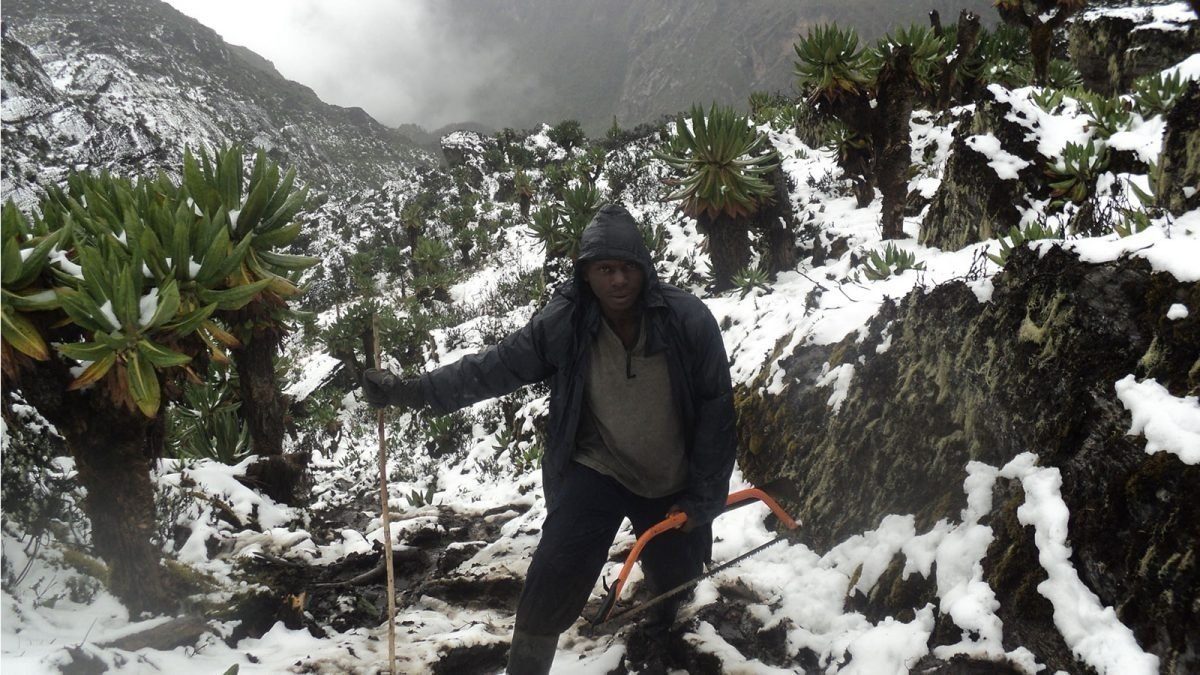 Rwenzori Mountains Trekking Cost