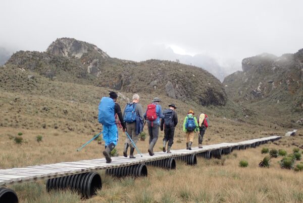 Rwenzori Mountains Trekking Cost