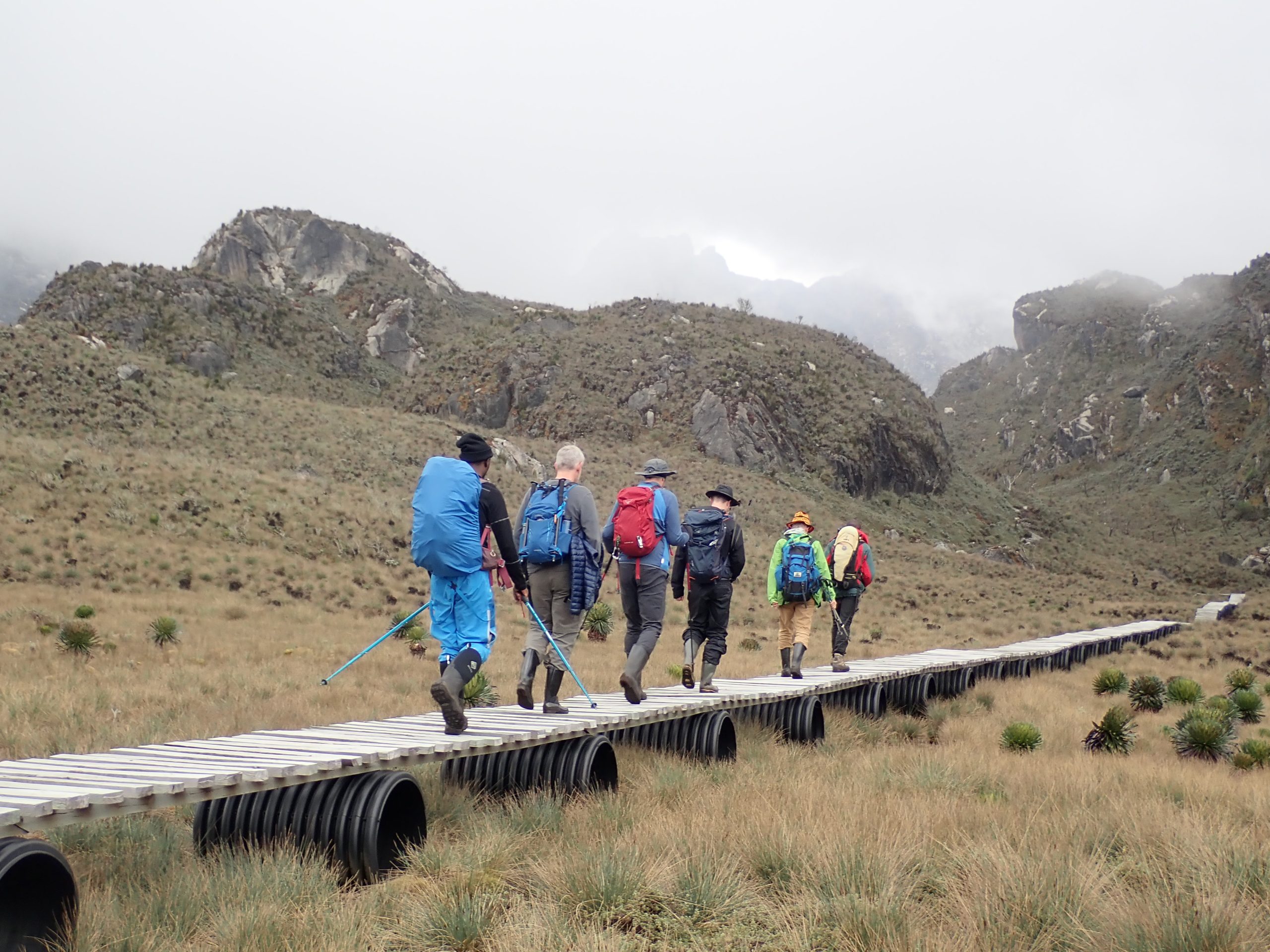 Rwenzori Mountains Trekking Cost