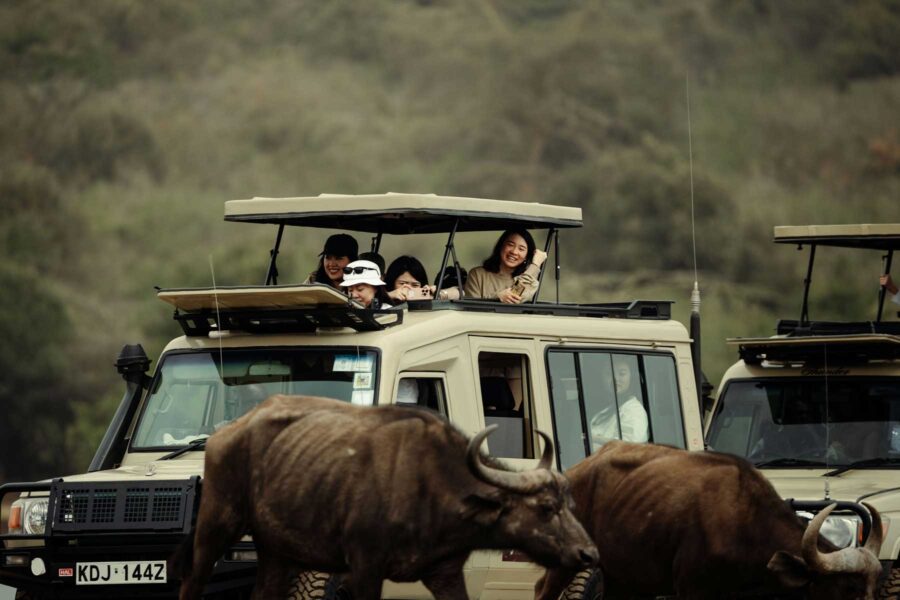 Safari and Beach Holidays