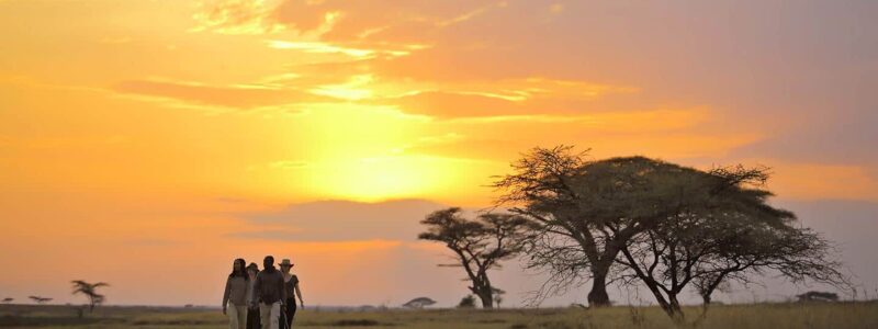 Serengeti National Park December
