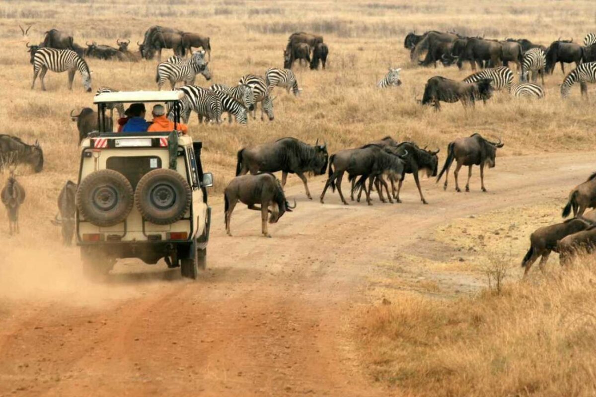 Tanzania Responsible Travel