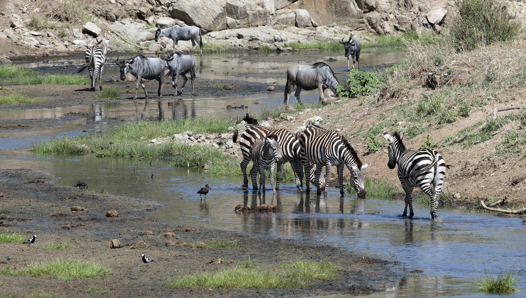 Tarangire National Park