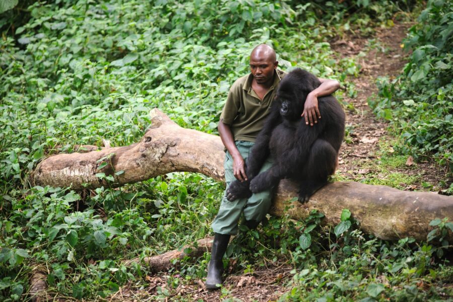 Virunga National Park