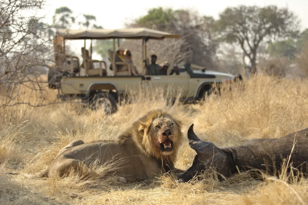 What Is the Cheapest Way to Do a Safari in Tanzania?