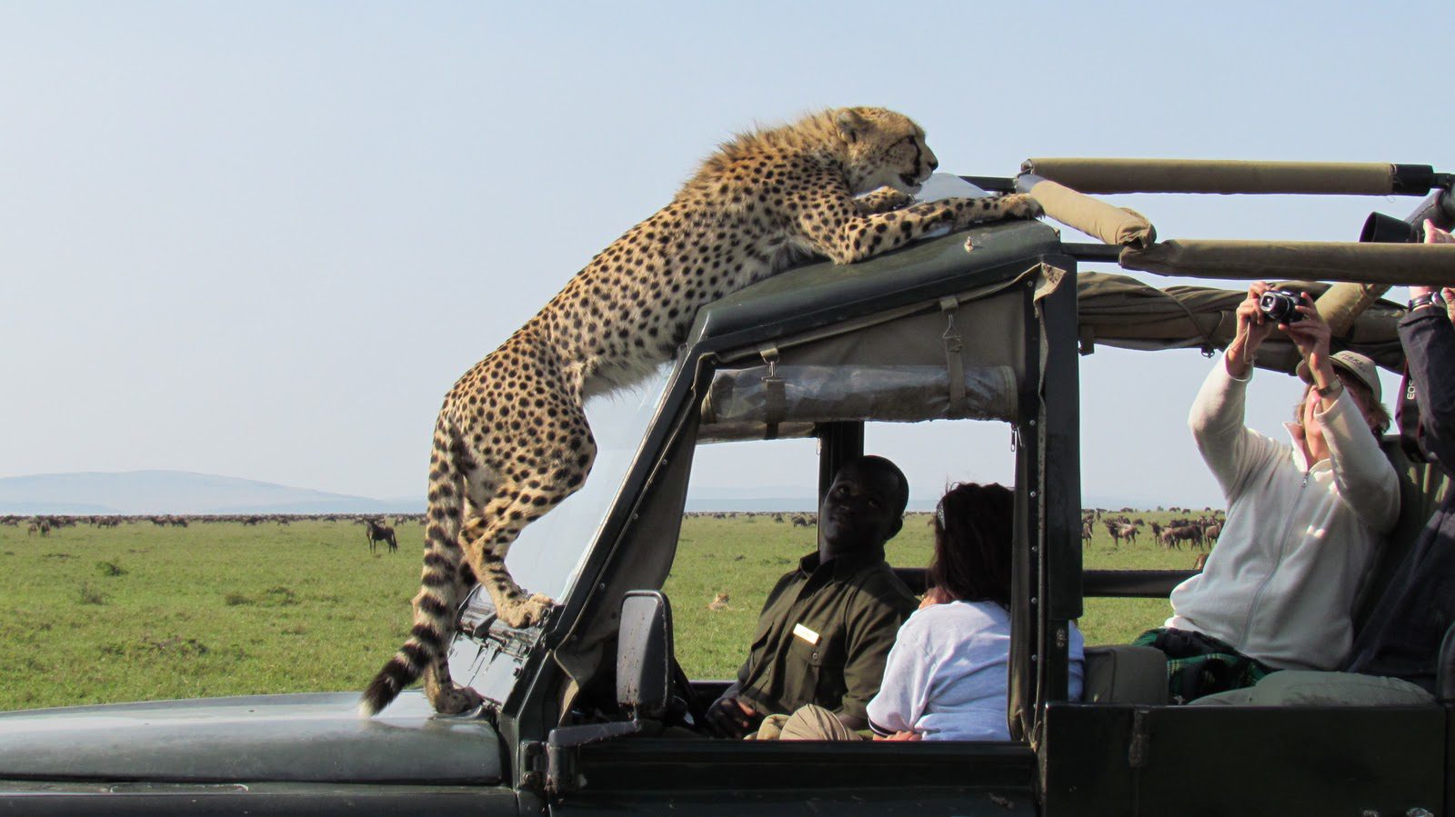 Which Tanzania Safari Is Best