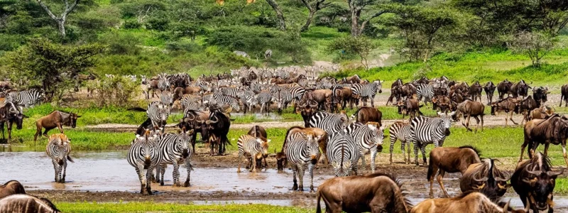 14 Days wildebeest migration gorillas and victoria falls