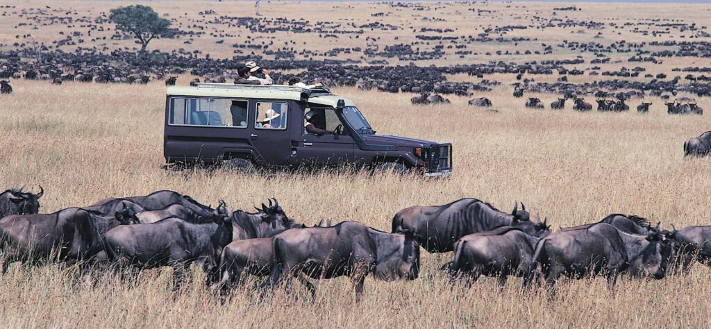 Wildebeest Migration Kenya