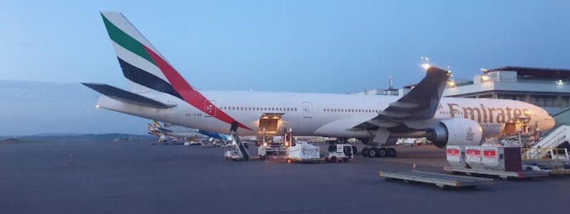 entebee 12 Days Serengeti Masai Mara and Gorillas Itinerary