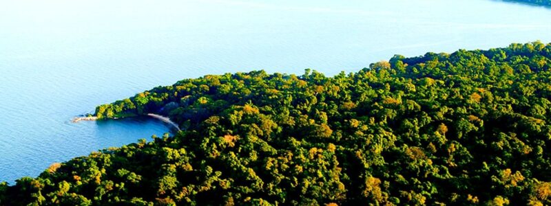 14 Days wildebeest migration gorillas and victoria falls