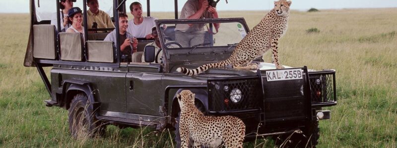 masa mara 2 12 Days Serengeti Masai Mara and Gorillas