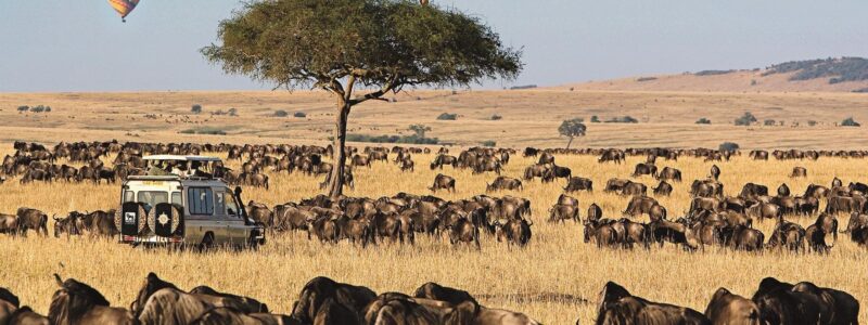 masa mara 3 12 Days Serengeti Masai Mara and Gorillas