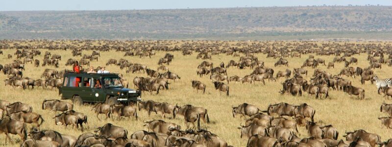 14 Days wildebeest migration gorillas and victoria falls