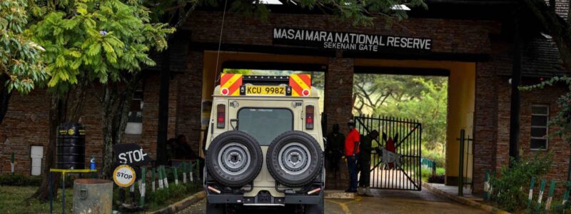 14 Days wildebeest migration gorillas and victoria falls