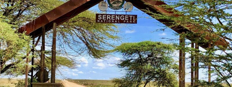 14 Days wildebeest migration gorillas and victoria falls